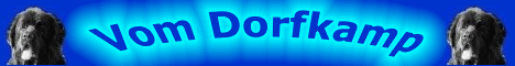 www.vom-dorfkamp.de 